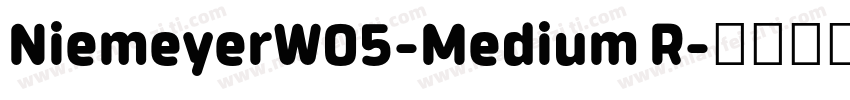 NiemeyerW05-Medium R字体转换